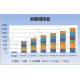 阳谷如何防止SEO关键词排名下降